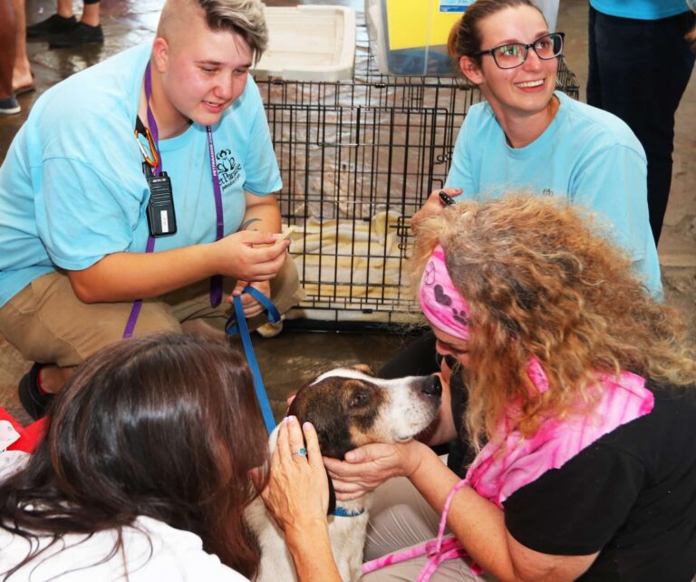 woofstock 2019 heidis hope
