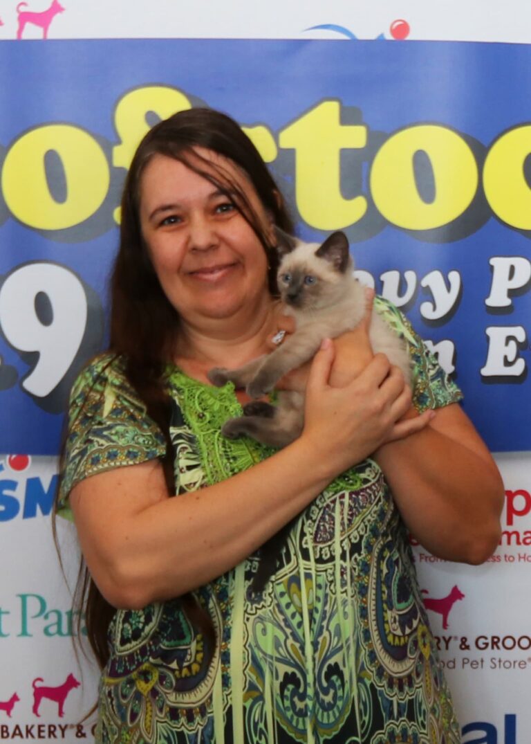 woofstock adoption event cat