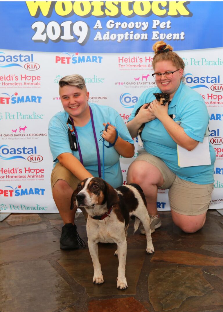 dog at woofstock 2019