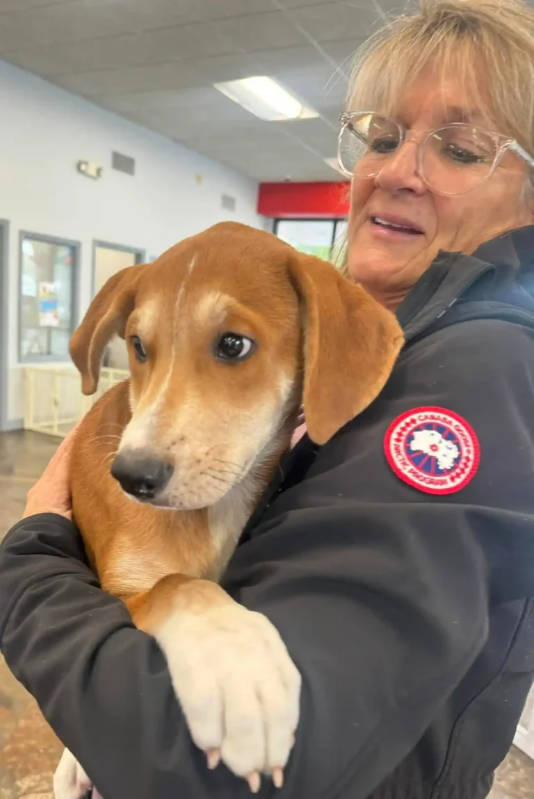 woofstock 2025 puppy holding
