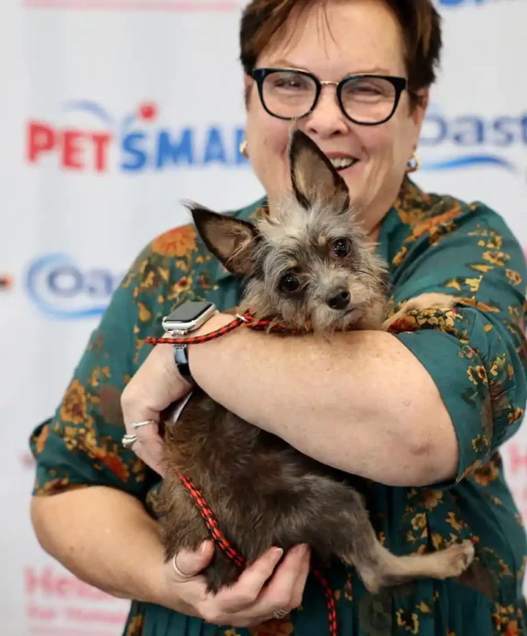 woofstock 2025 adopting pets