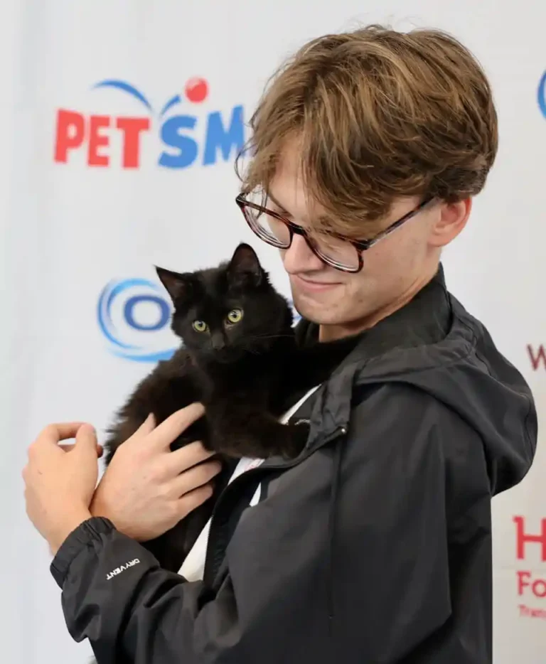 woofstock 2025 adopting cat