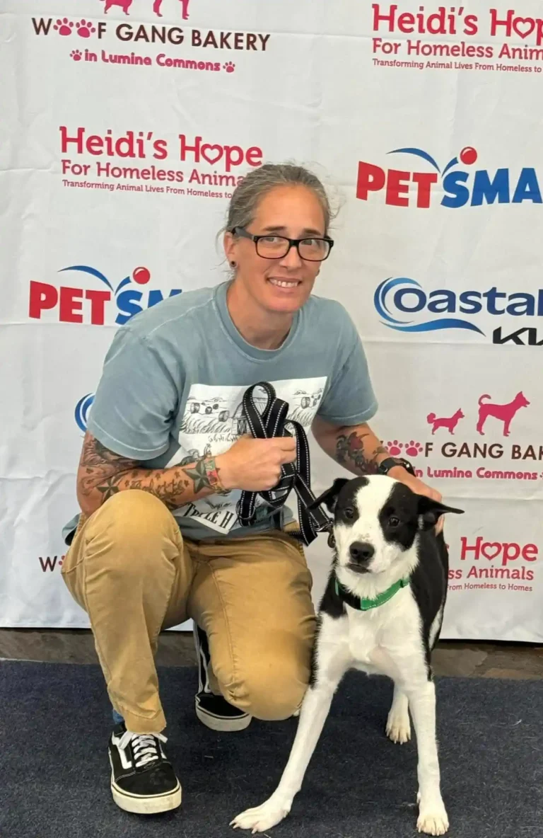 woofstock 2025 dog adoption